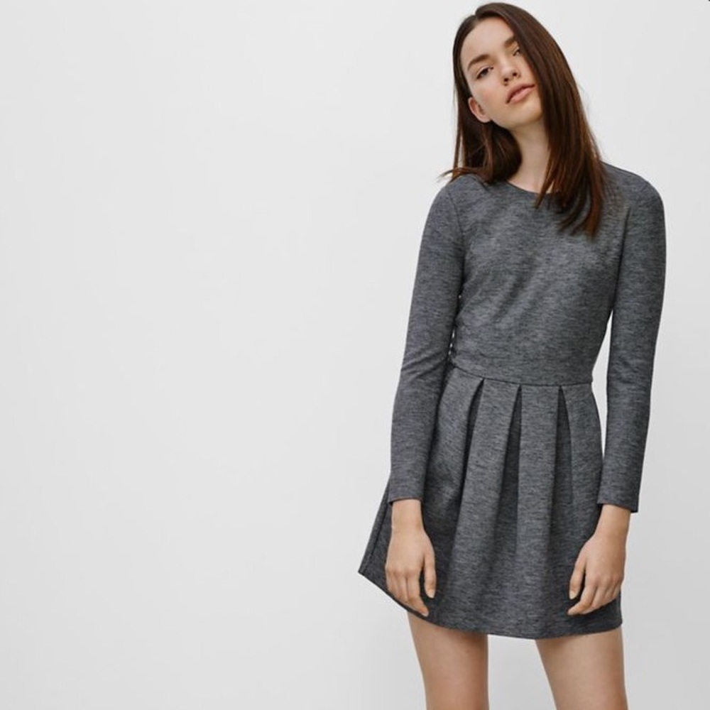 Aritzia Talula Tartine Dress